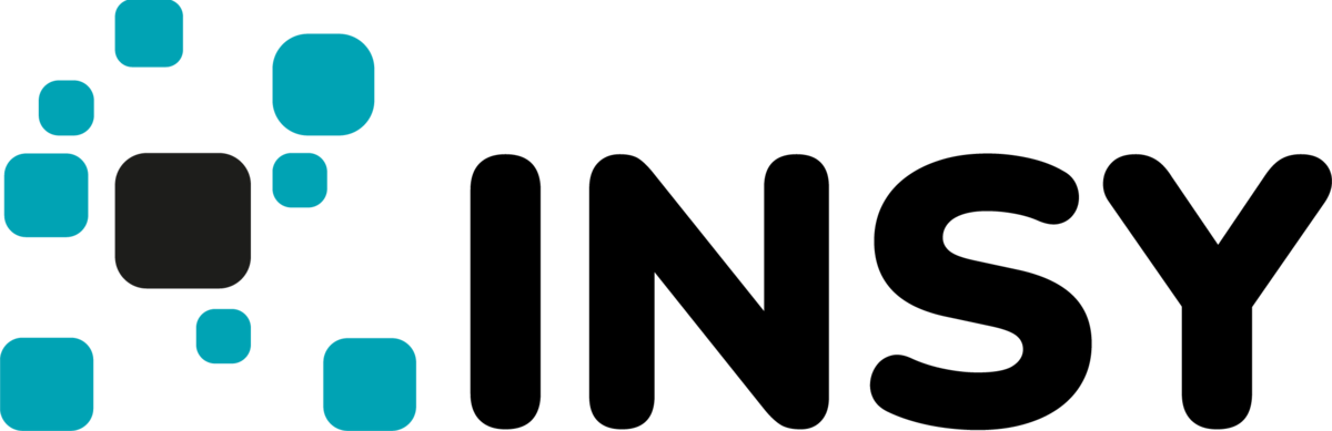 Logo des Lehrstuhls INSY